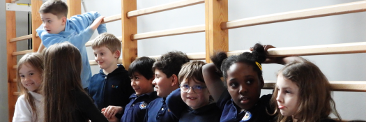 PYP Movement Competition